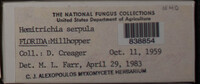 Image Associated With the Occurence